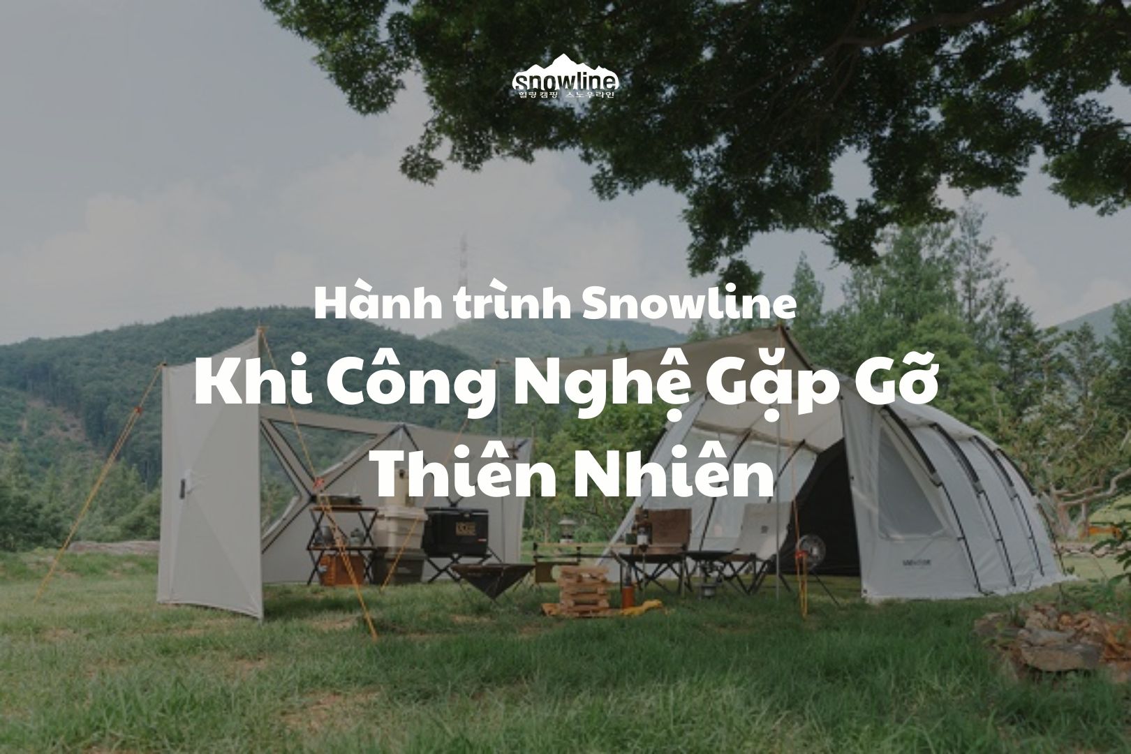 Hành trình Snowline: Khi Công Nghệ Gặp Gỡ Thiên Nhiên